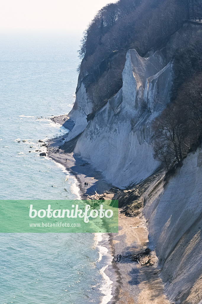 377041 - Chalk cliff, Jasmund National Park, Rügen, Germany