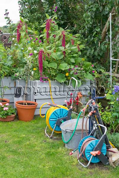559021 - Chariots de tuyau et potagers surélevés dans un jardin familial
