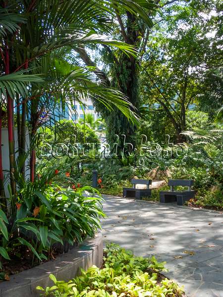 411096 - Chemin ombragé avec bancs dans un parc tropical
