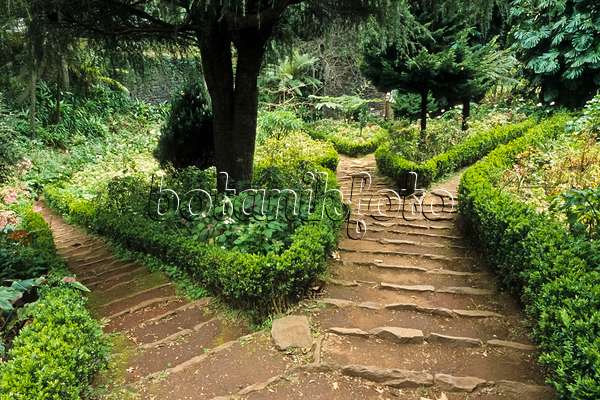 388002 - Chemins en escalier faits d'argile et de pierres des champs entre la végétation subtropicale, parque do Monte, Monte, Madère, Portugal