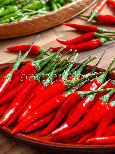 436016 - Chili pepper (Capsicum)