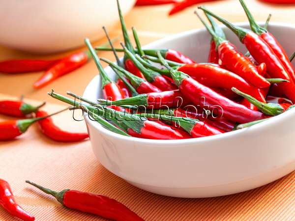 436031 - Chili pepper (Capsicum)