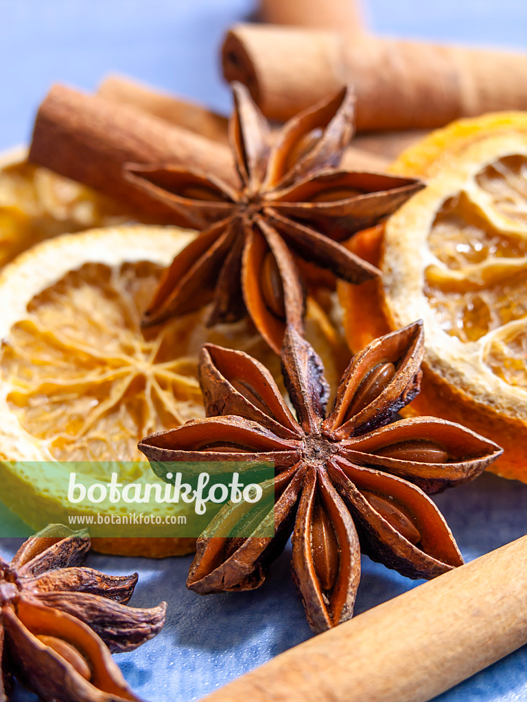 444076 - Chinese star anise (Illicium verum), orange (Citrus sinensis) and Chinese cinnamom (Cinnamomum aromaticum)