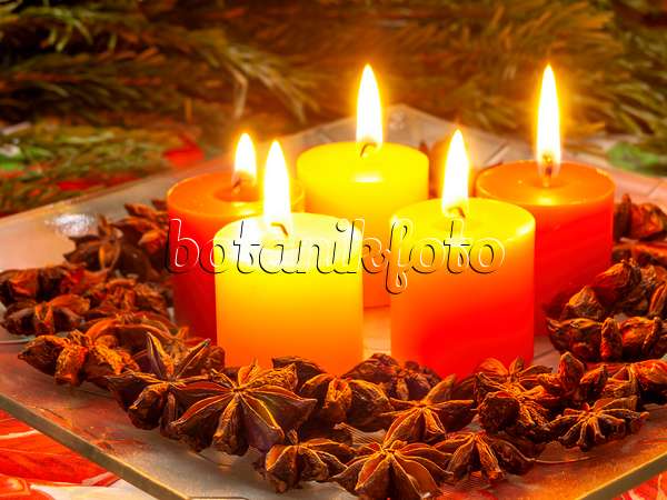 444054 - Chinese star anise (Illicium verum) with Christmas decoration