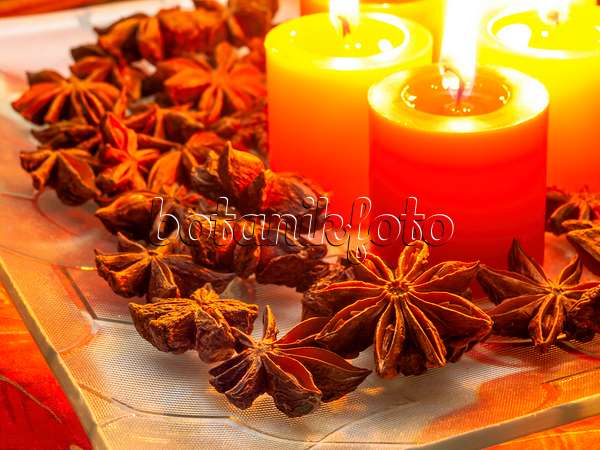 444056 - Chinese star anise (Illicium verum) with Christmas decoration