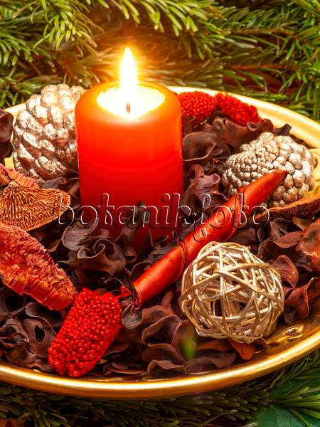 444050 - Christmas decoration with potpourri of dried plant parts