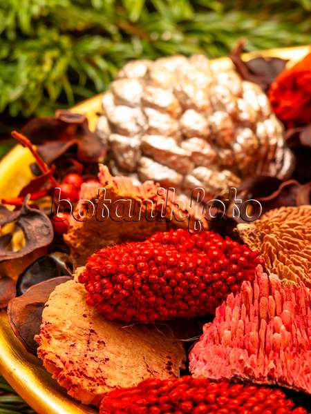 444052 - Christmas decoration with potpourri of dried plant parts
