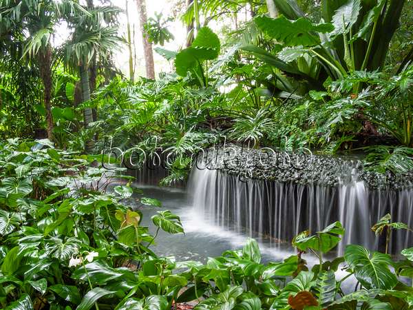 411140 - Chute d'eau dans un jardin tropical
