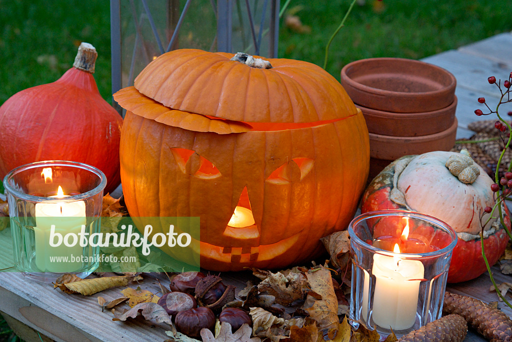 460036 - Citrouille d'Halloween avec des lampes tempête