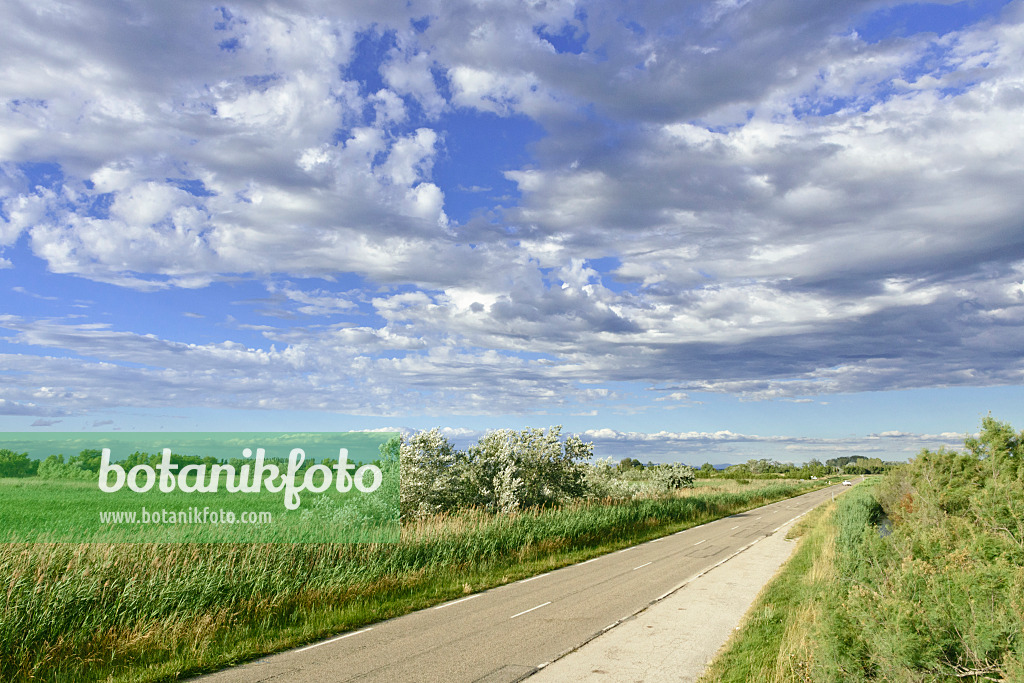 557107 - Clouds above the Camargue, France