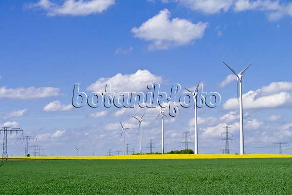 544057 - Colza (Brassica napus subsp. oleifera) avec des éoliennes et des pylônes électriques, Allemagne