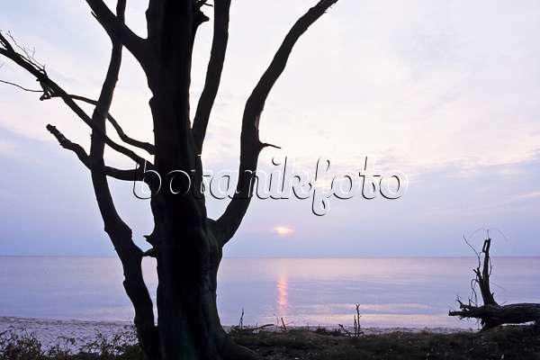 369005 - Coucher de soleil sur la mer Baltique, parc national du lagon de Poméranie occidentale, Allemagne
