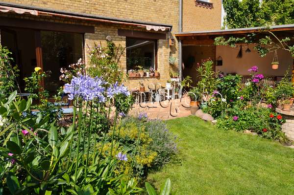 474344 - Cour-jardin avec parterres de vivaces, pelouse et terrasse avec plantes en pot