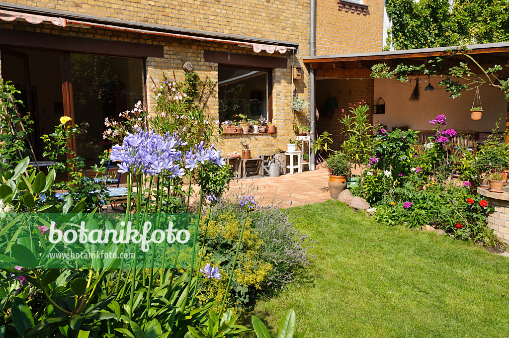 474344 - Cour-jardin avec parterres de vivaces, pelouse et terrasse avec plantes en pot