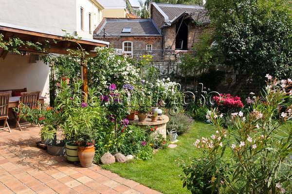 474351 - Cour-jardin avec parterres de vivaces, pelouse et terrasse avec plantes en pot