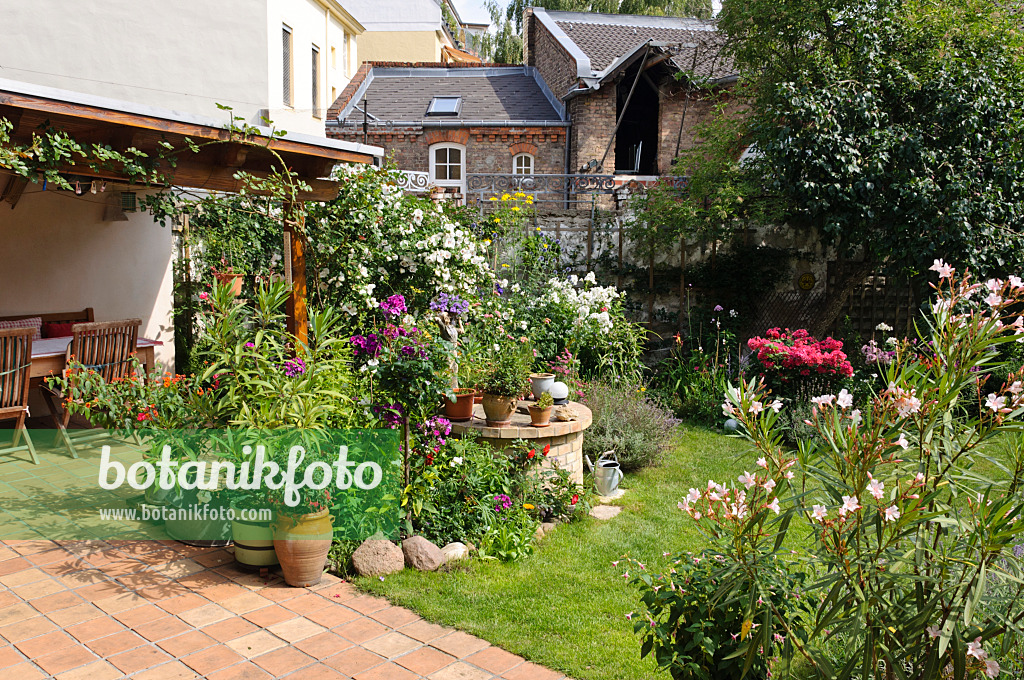 474351 - Cour-jardin avec parterres de vivaces, pelouse et terrasse avec plantes en pot