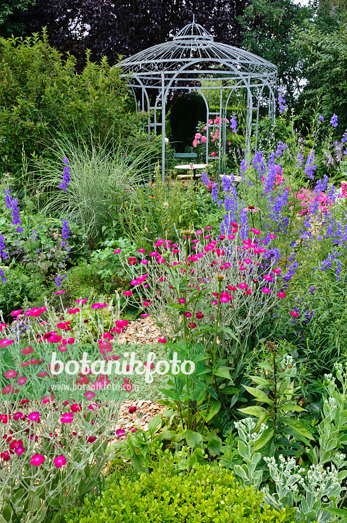 474088 - Crown pinks (Lychnis coronaria syn. Silene coronaria) and rocket larkspurs (Consolida ajacis) in front of a garden pavilion