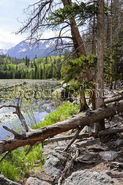 508356 - Cub Lake, Rocky Mountain National Park, Colorado, USA