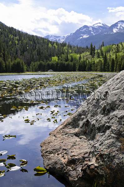 508357 - Cub Lake, Rocky Mountain National Park, Colorado, USA