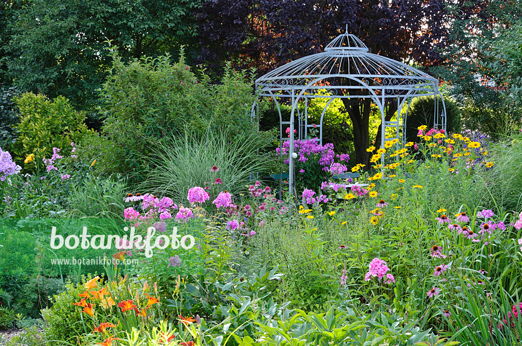 474447 - Day lilies (Hemerocallis), garden phlox (Phlox paniculata), false sunflower (Heliopsis helianthoides) and purple cone flower (Echinacea purpurea)