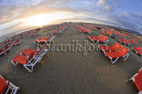 564238 - Deck chairs on the beach, Maspalomas, Gran Canaria, Spain