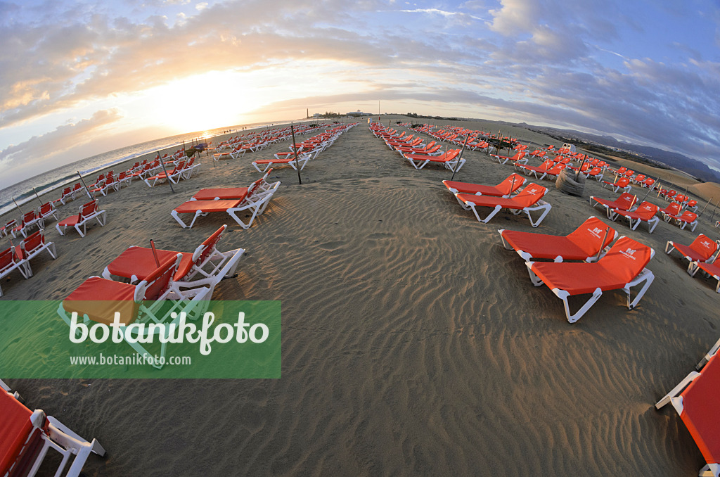 564238 - Deck chairs on the beach, Maspalomas, Gran Canaria, Spain