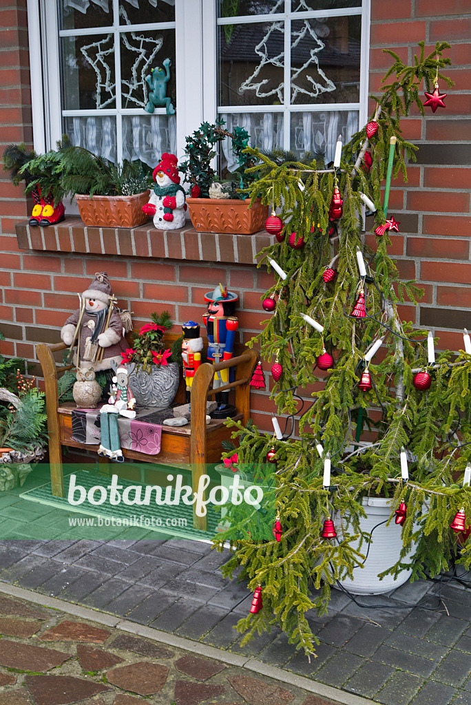 527032 - Décoration de Noël avec arbre de Noël et des casses-noix