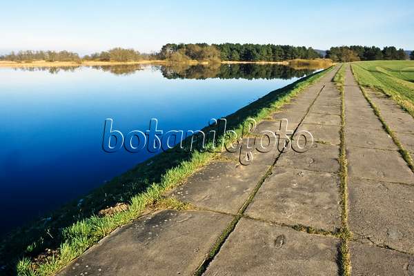 387031 - Dike with flooded polder meadows, Lower Oder Valley National Park, Germany