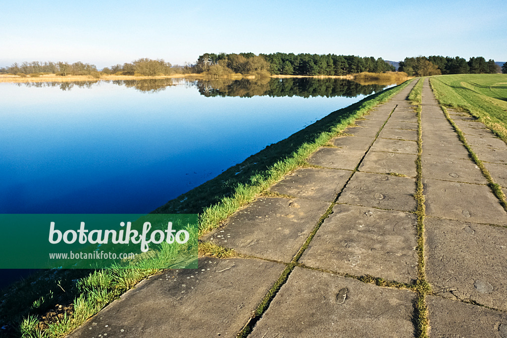 387031 - Dike with flooded polder meadows, Lower Oder Valley National Park, Germany