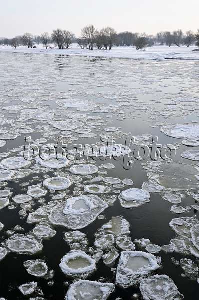 505045 - Drifting ice on Elbe River, Flusslandschaft Elbe Biosphere Reserve, Germany
