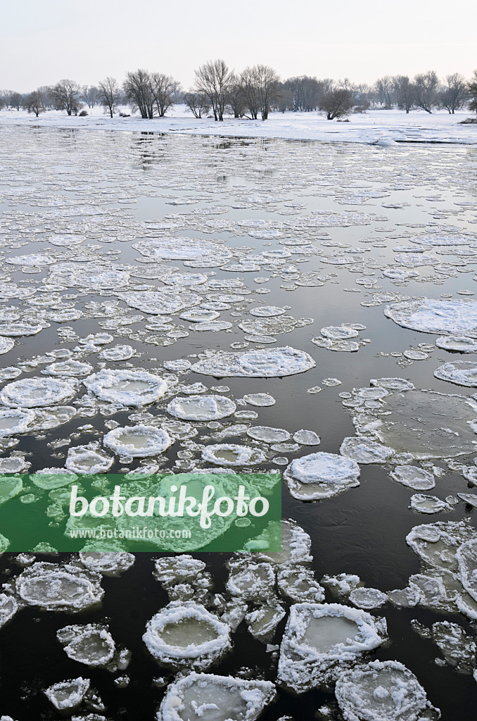 505045 - Drifting ice on Elbe River, Flusslandschaft Elbe Biosphere Reserve, Germany