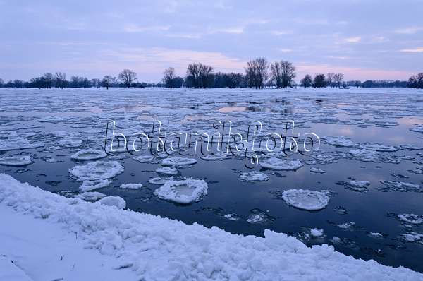 505048 - Drifting ice on Elbe River, Flusslandschaft Elbe Biosphere Reserve, Germany