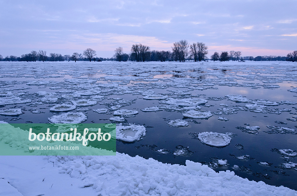 505048 - Drifting ice on Elbe River, Flusslandschaft Elbe Biosphere Reserve, Germany