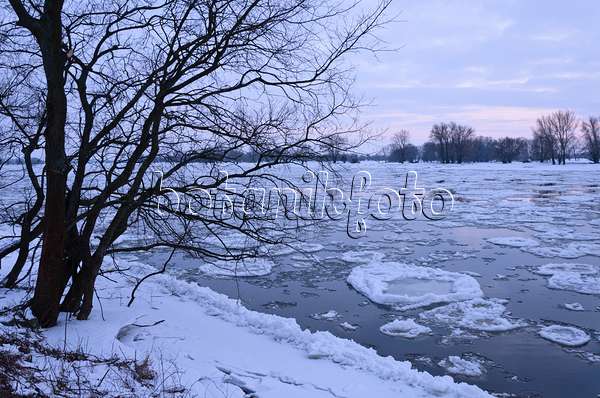 505049 - Drifting ice on Elbe River, Flusslandschaft Elbe Biosphere Reserve, Germany
