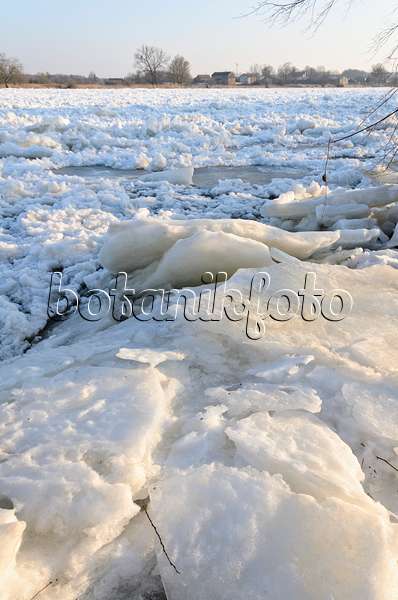 529024 - Drifting ice on Oder River, Lower Oder Valley National Park, Germany