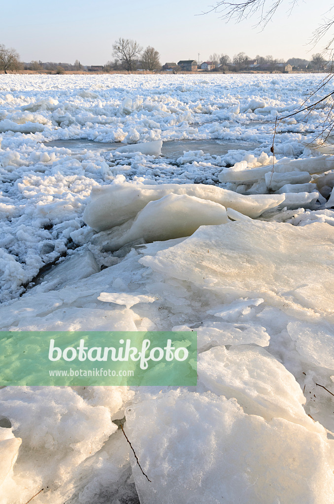 529024 - Drifting ice on Oder River, Lower Oder Valley National Park, Germany