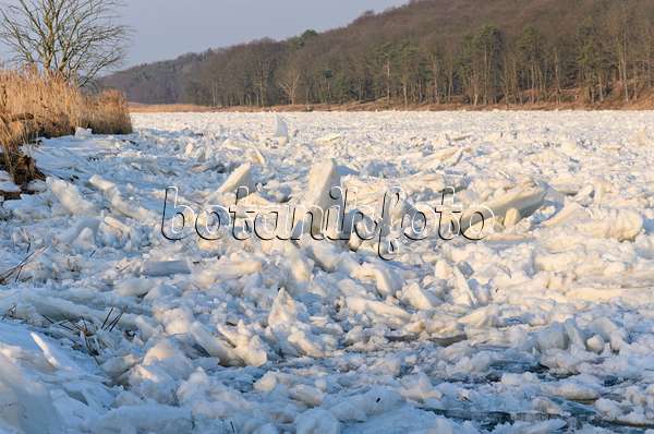 529025 - Drifting ice on Oder River, Lower Oder Valley National Park, Germany