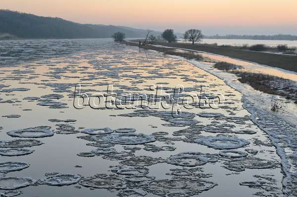 565010 - Drifting ice on Oder River, Lower Oder Valley National Park, Germany