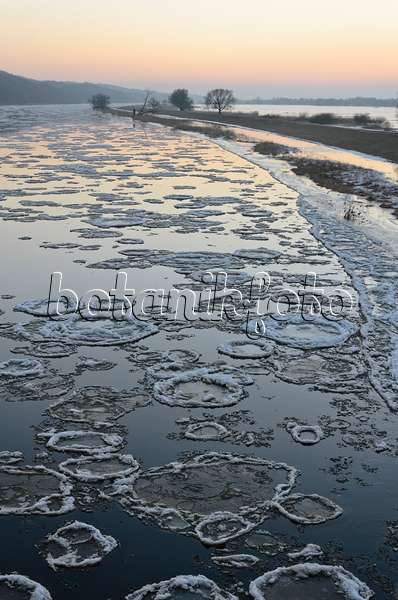 565011 - Drifting ice on Oder River, Lower Oder Valley National Park, Germany