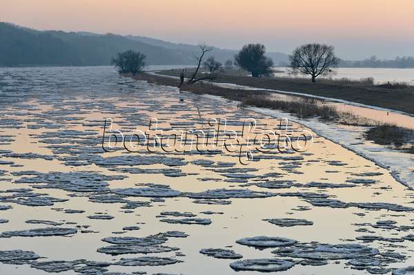 565012 - Drifting ice on Oder River, Lower Oder Valley National Park, Germany