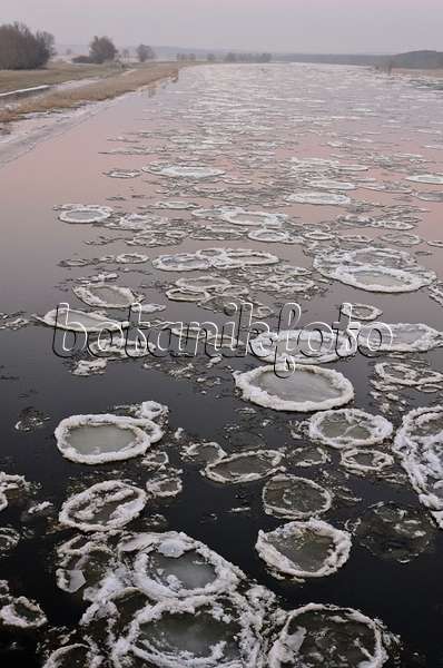565013 - Drifting ice on Oder River, Lower Oder Valley National Park, Germany