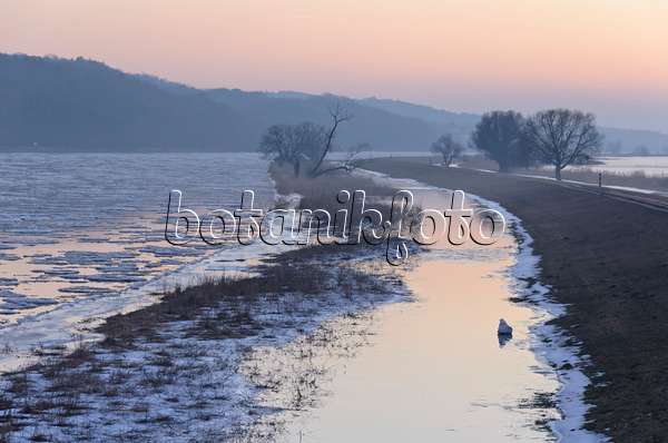 565014 - Drifting ice on Oder River, Lower Oder Valley National Park, Germany