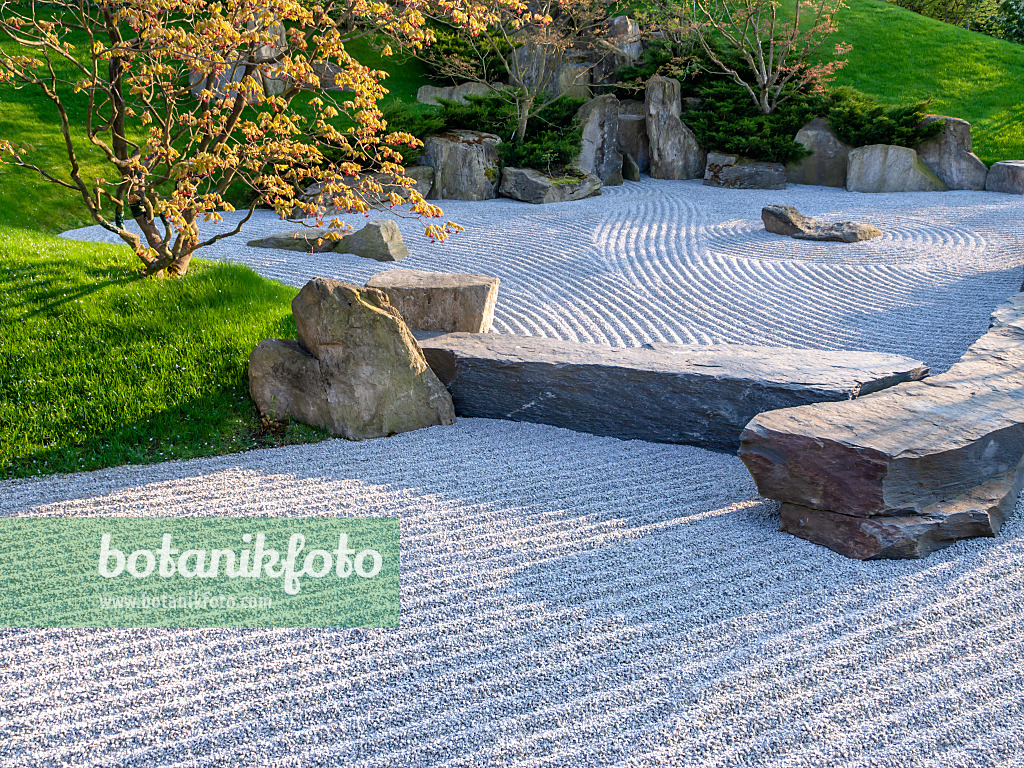 437127 - Dry landscape garden, Japanese Garden, Erholungspark Marzahn, Berlin, Germany