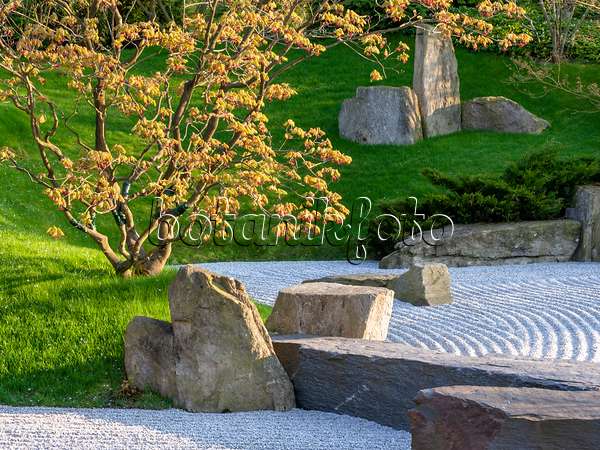 437128 - Dry landscape garden, Japanese Garden, Erholungspark Marzahn, Berlin, Germany