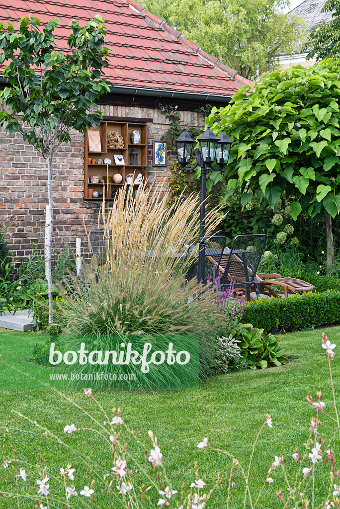 535242 - Dwarf fountain grass (Pennisetum alopecuroides) and reed grass (Calamagrostis x acutiflora) in front of a seating area