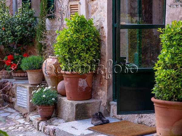 424088 - Entrée d'une maison méditerranéenne avec des pots de fleurs