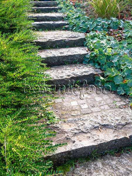465158 - Escaliers en pierre pavée dans un jardin