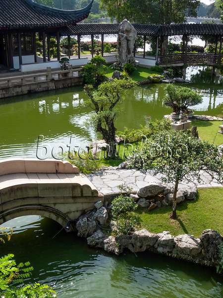 411201 - Étang, pont en pierre et maison au toit en forme de pagode, jardin de bonsaïs, Singapour