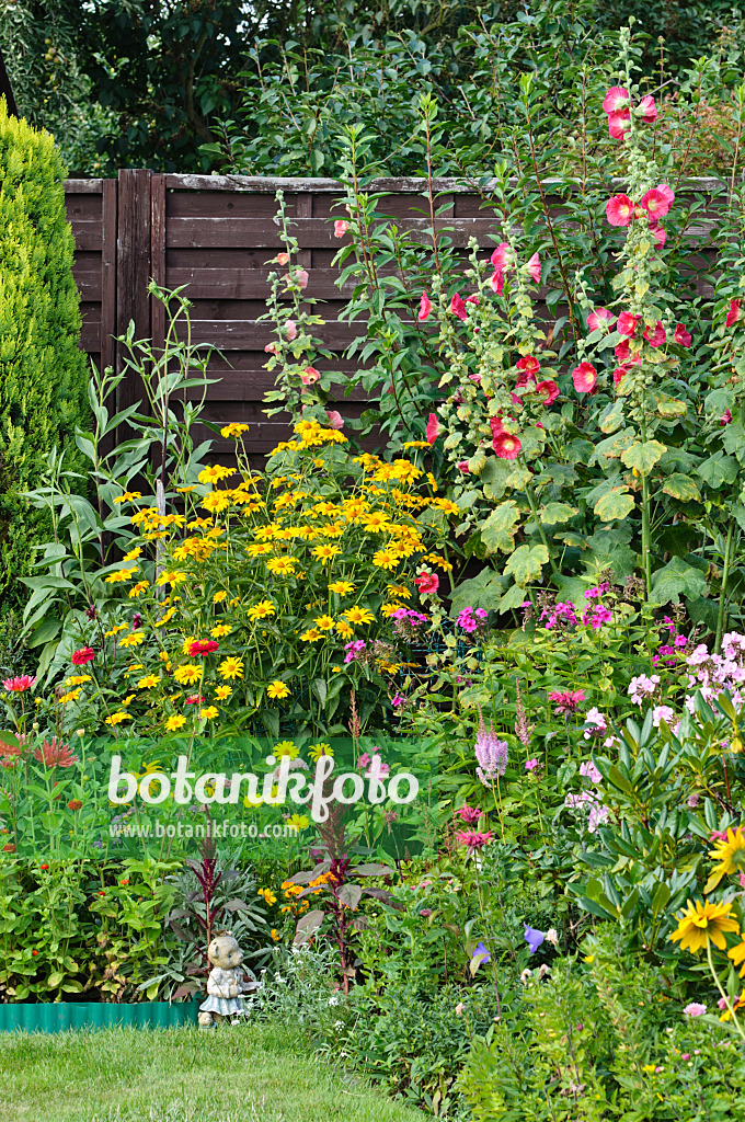 474324 - False sunflowers (Heliopsis helianthoides), garden phlox (Phlox paniculata) and common hollyhocks (Alcea rosea)