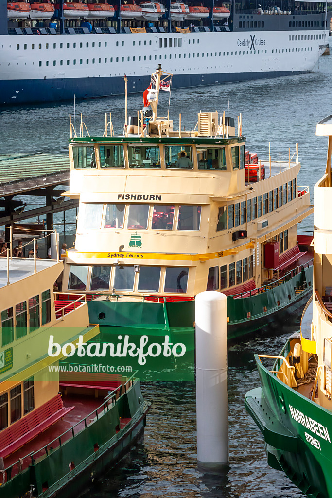 455347 - Ferries at Circular Quay, Sydney, Australia